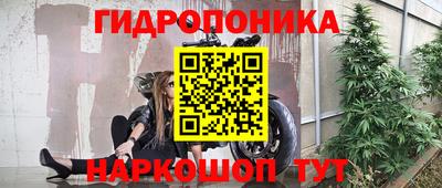spice Гусь-Хрустальный