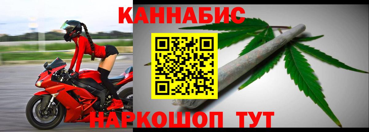 Марихуана сатива Луга